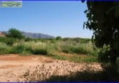 Xalet independent amb terreny en venda a la España, Fortuna, ref.: TR303478 foto