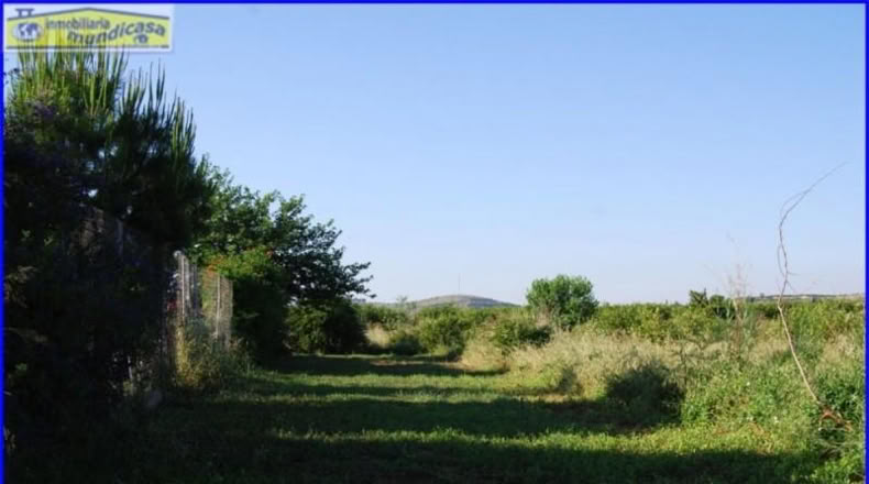 Murcia - Fortuna - 2146m2