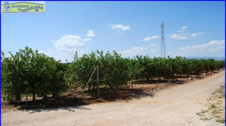 Murcia - Fortuna - 2146m2