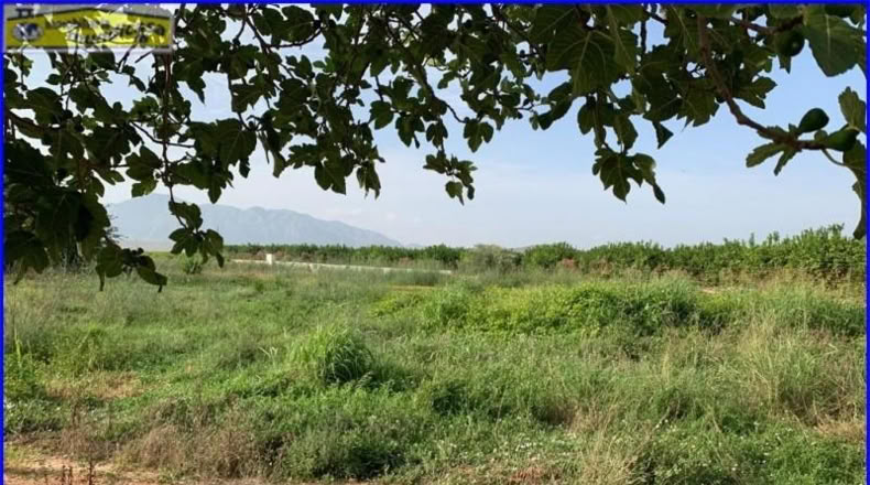 Murcia - Fortuna - 2146m2