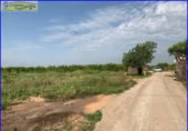 Xalet independent amb terreny en venda a la España, Fortuna, ref.: TR303478 foto