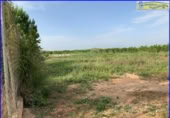 Xalet independent amb terreny en venda a la España, Fortuna, ref.: TR303478 foto