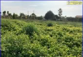Xalet independent amb terreny en venda a la España, Fortuna, ref.: TR303478 foto