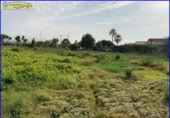 Xalet independent amb terreny en venda a la España, Fortuna, ref.: TR303478 foto