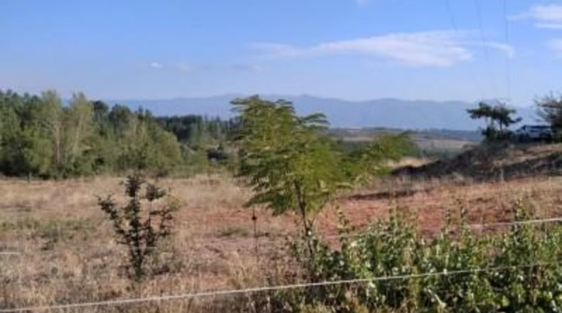 Leon - Arganza - 1800m2