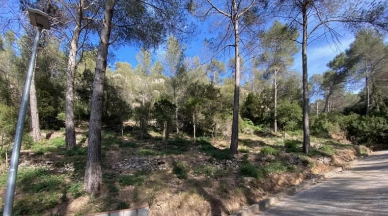 Barcelona - Corbera de Llobregat - 1133m2