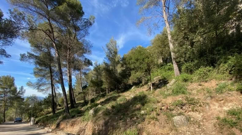 Barcelona - Corbera de Llobregat - 1133m2