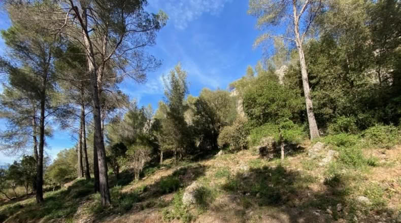 Barcelona - Corbera de Llobregat - 1133m2