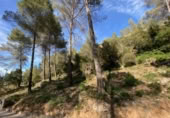 Parcel·la urbanitzable en venda a la España, Corbera de Llobregat, ref.: TR124456 foto