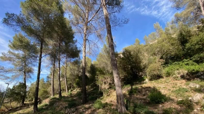 Barcelona - Corbera de Llobregat - 1133m2