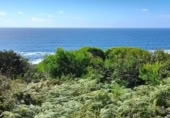 Non-developable land for sale on España, Oia, ref: TR124754 photo