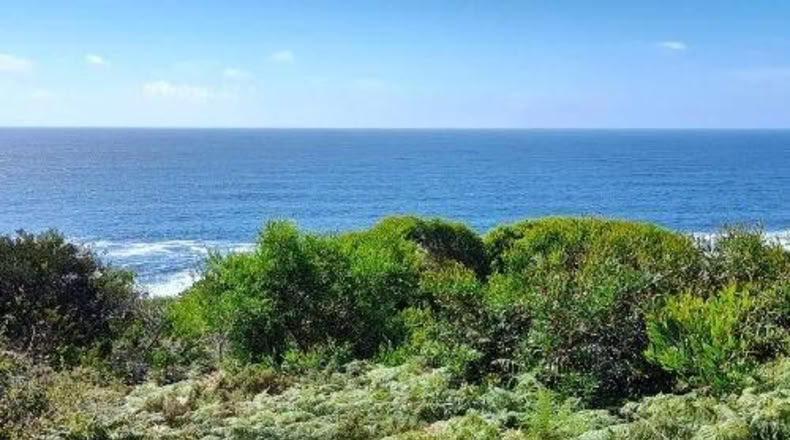 Pontevedra - Oia - 2010m2