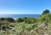 Non-developable land for sale on España, Oia, ref: TR124754 photo