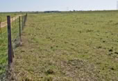 Terreno no urbanizable en venta en la España, Sierra de Fuentes, ref: TR115697 foto