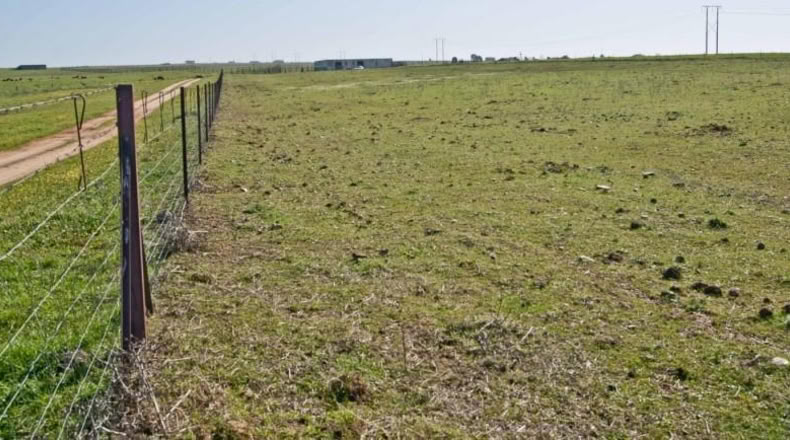 Cáceres - Sierra de Fuentes - 30000m2