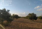 Terreno no urbanizable en venta en la España, Tomelloso, ref: TR115864 foto