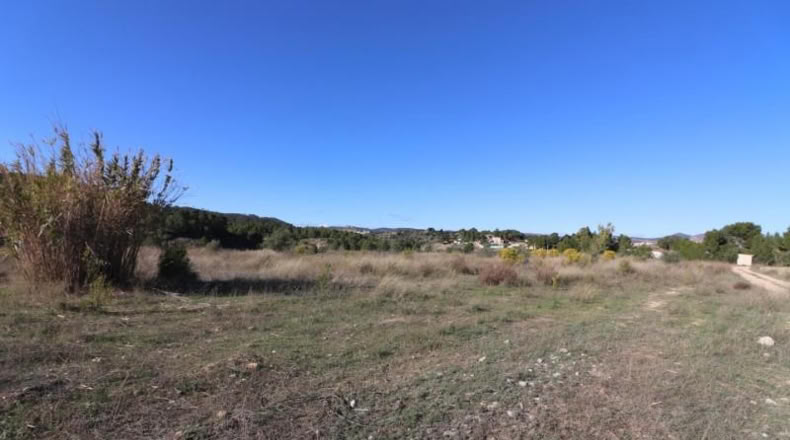 València - Alborache - 13732m2