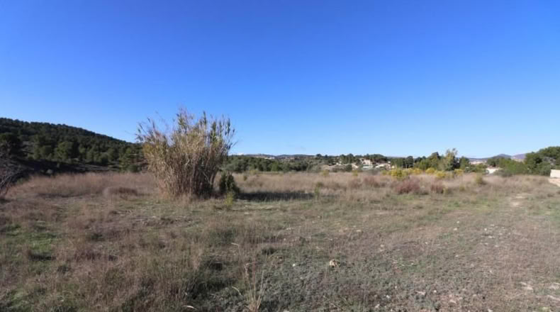València - Alborache - 13732m2
