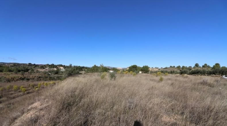 València - Alborache - 13732m2