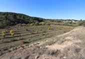 Non-developable land for sale on España, Alborache, ref: TR113348 photo