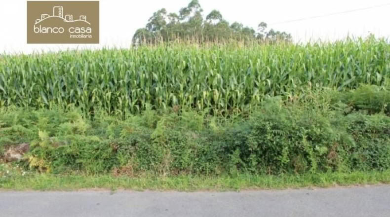La Corunya - Coristanco - 1200m2