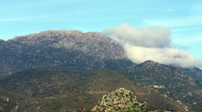 Cádiz - El Bosque - 1000m2