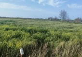 Terreno no urbanizable en venta en la España, Sanlúcar de Barrameda, ref: TR120584 foto