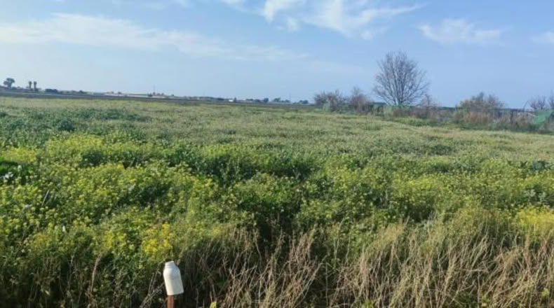 Cádiz - Sanlúcar de Barrameda - 2500m2