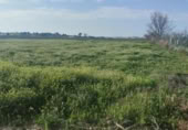 Terreno no urbanizable en venta en la España, Sanlúcar de Barrameda, ref: TR120584 foto