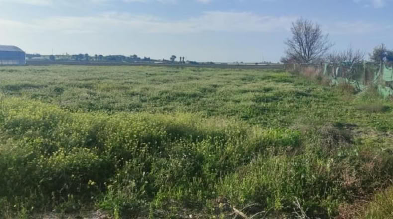 Cádiz - Sanlúcar de Barrameda - 2500m2