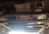 Country house with land for sale on España, Begonte, ref: TR112409 photo