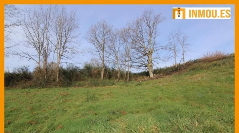 Orense - Celanova - 1664m2