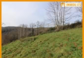 Parcela urbanizable en venta en la España, Celanova, ref: TR168555 foto