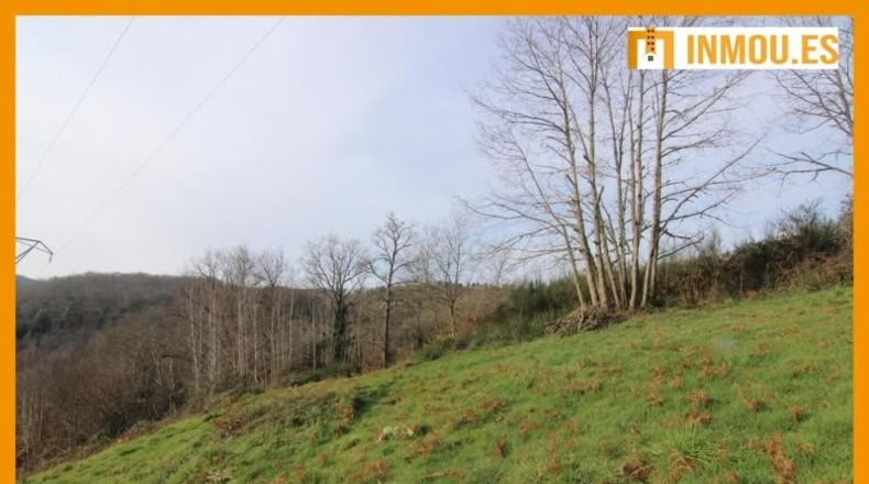 Orense - Celanova - 1664m2