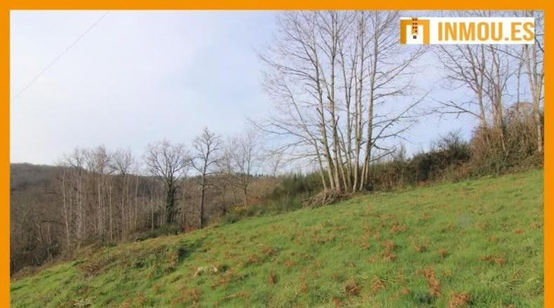 Orense - Celanova - 1664m2