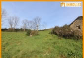 Parcela urbanizable en venta en la España, Celanova, ref: TR168555 foto