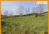 Parcela urbanizable en venta en la España, Celanova, ref: TR168555 foto