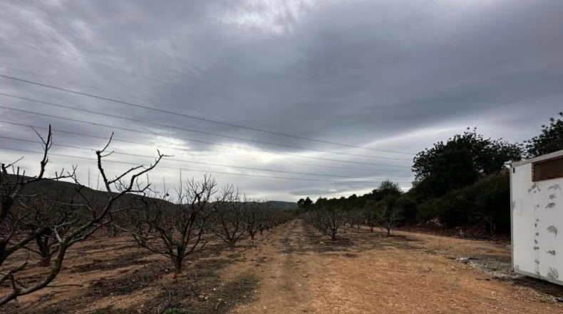 Valencia - Catadau - 11096m2