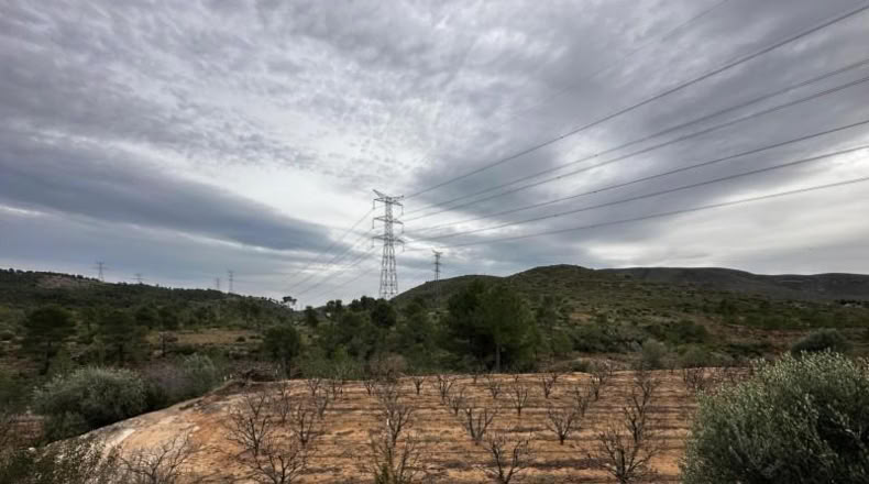 Valencia - Catadau - 11096m2