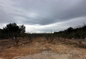 Parcela urbanizable en venta en la España, Catadau, ref: TR127779 foto