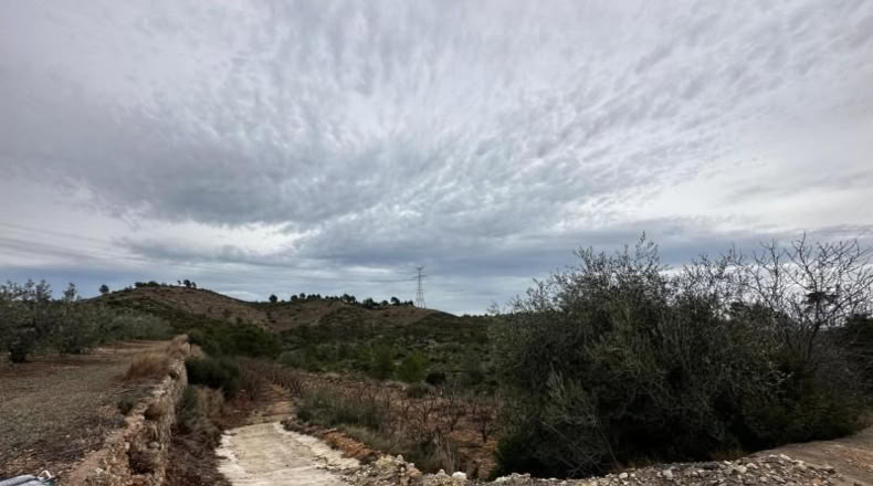 Valencia - Catadau - 11096m2