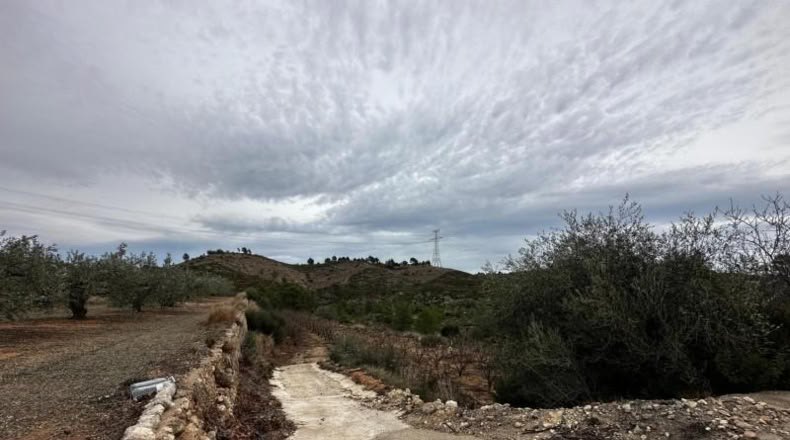 Valencia - Catadau - 11096m2