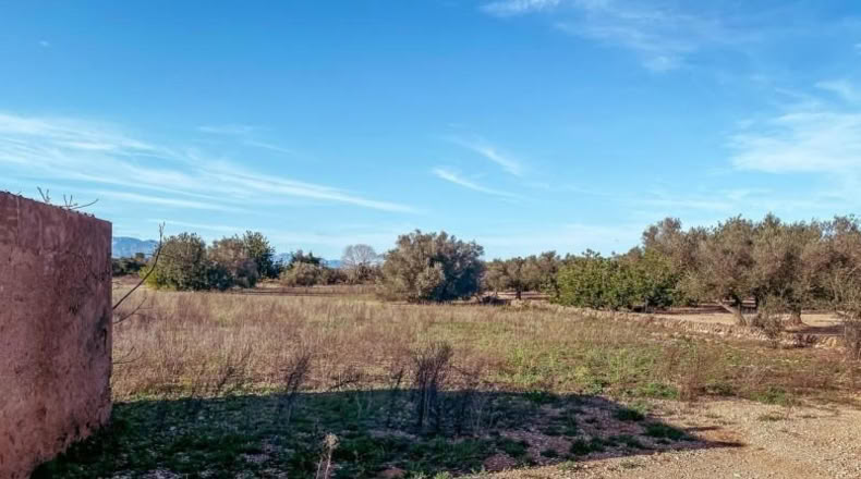 Tarragona - Freginals - 14000m2