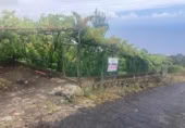 Non-developable land for sale on España, Pino Alto-Santa Úrsula, ref: TR317886 photo