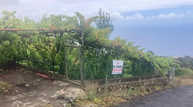 Santa Cruz de Tenerife - Santa Úrsula - 3125m2