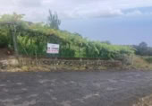 Non-developable land for sale on España, Pino Alto-Santa Úrsula, ref: TR317886 photo