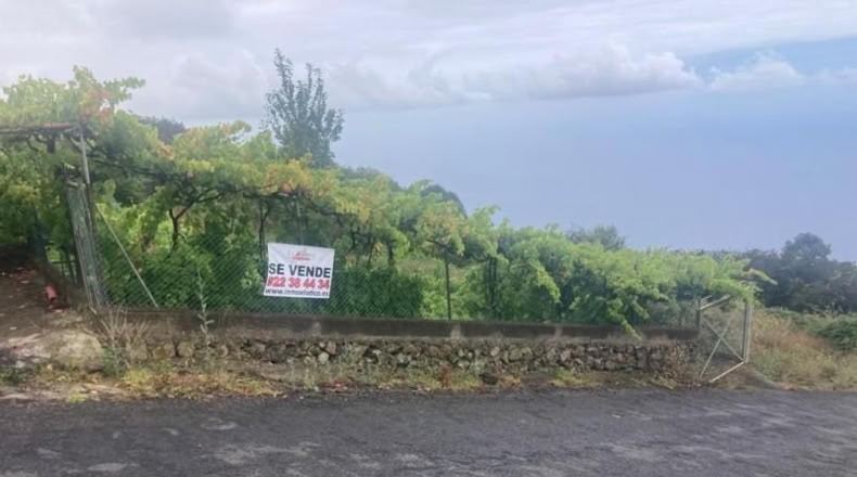 Santa Cruz de Tenerife - Santa Úrsula - 3125m2