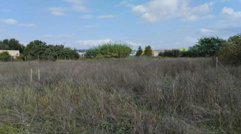 Murcia - Molina de Segura - 1397m2