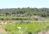 Terreny no urbanitzable en venda a la España, Vilamarxant, ref.: TR320426 foto