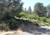 Terreny no urbanitzable en venda a la España, Vilamarxant, ref.: TR320426 foto